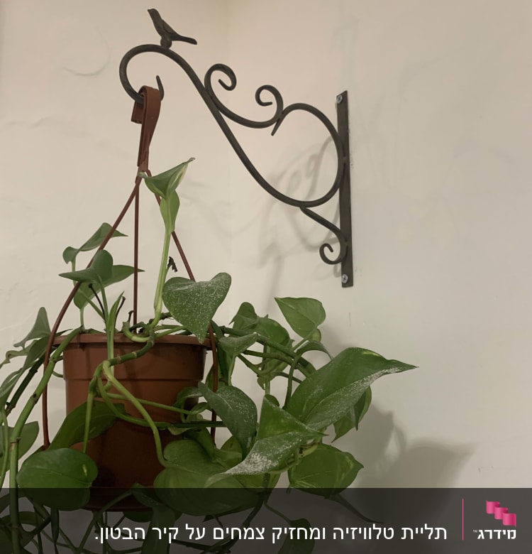 עציץ תלוי על מתלה מתכת מעוצב עם ציפור